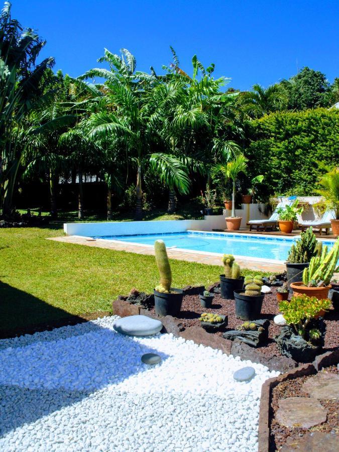 Villa Arbre Du Voyageur, 4 Etoiles Et 4 Clevacances Noël エクステリア 写真