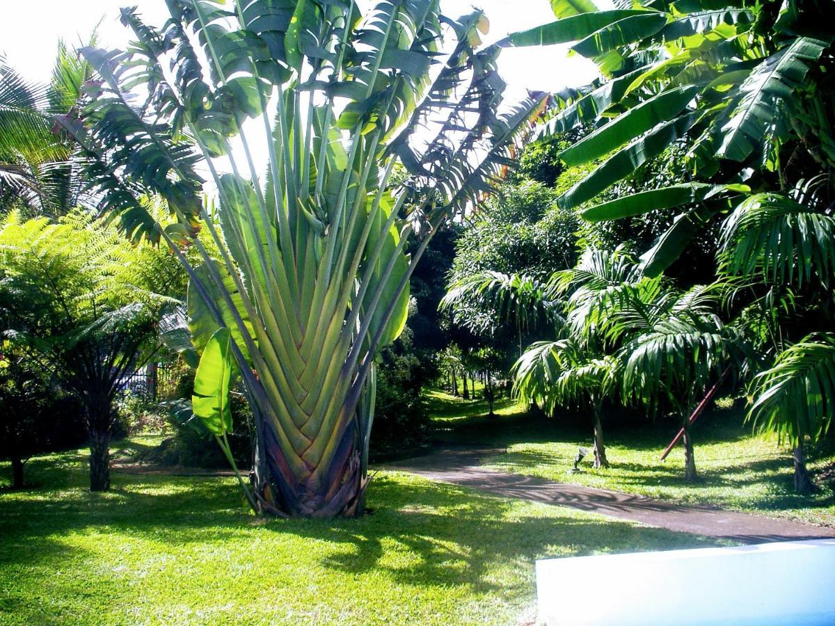 Villa Arbre Du Voyageur, 4 Etoiles Et 4 Clevacances Noël エクステリア 写真