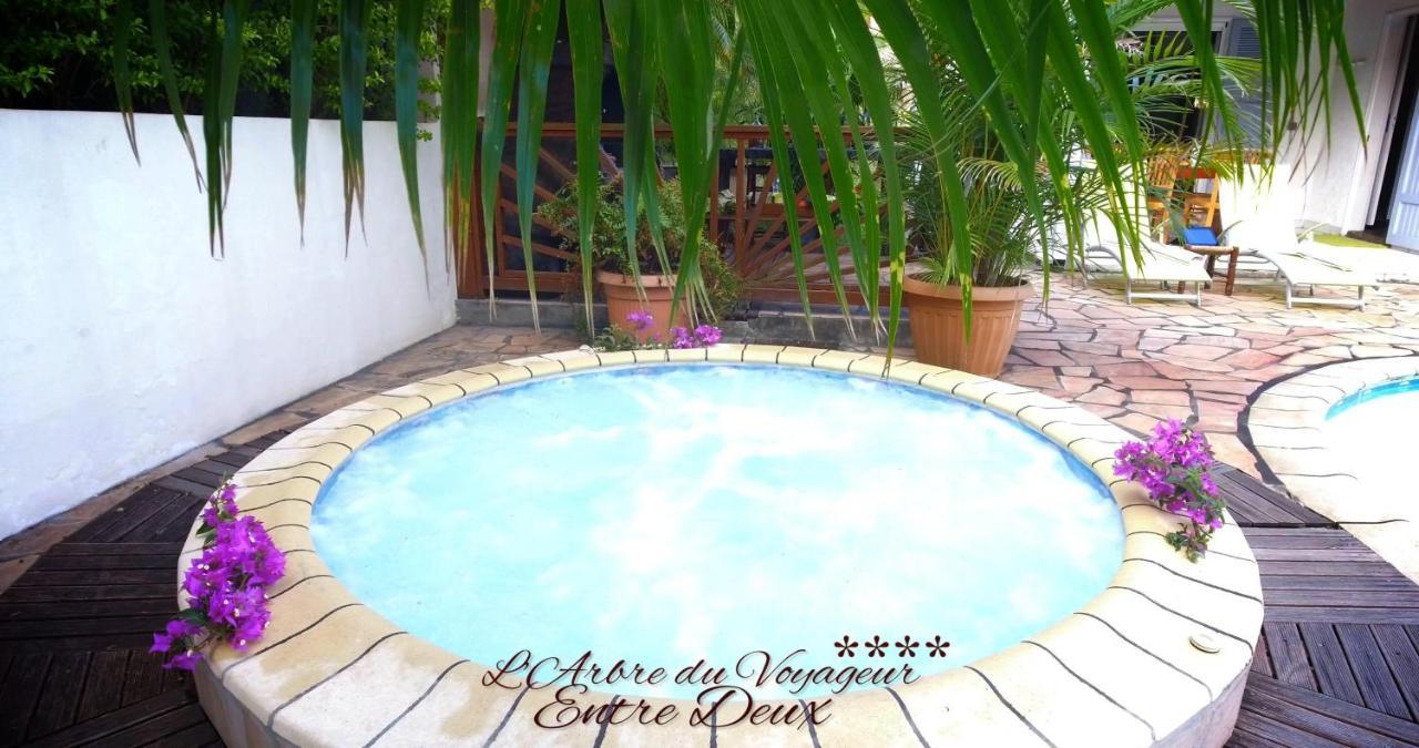 Villa Arbre Du Voyageur, 4 Etoiles Et 4 Clevacances Noël エクステリア 写真